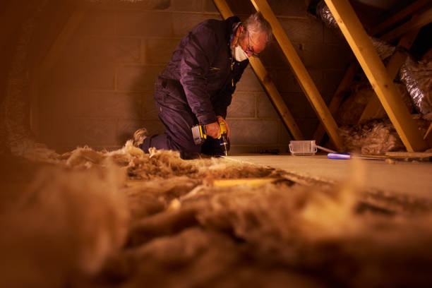 Best Insulation Maintenance and Repair in Granville South, OH